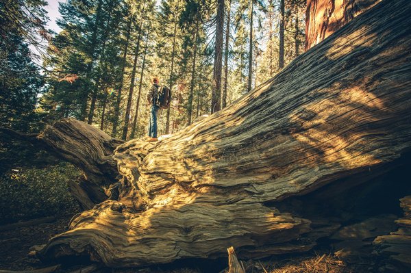 Comment organiser une visite des ruines incas au Pérou sans guide touristique?
